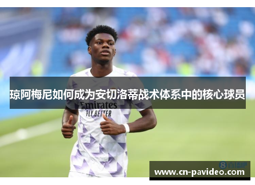 琼阿梅尼如何成为安切洛蒂战术体系中的核心球员