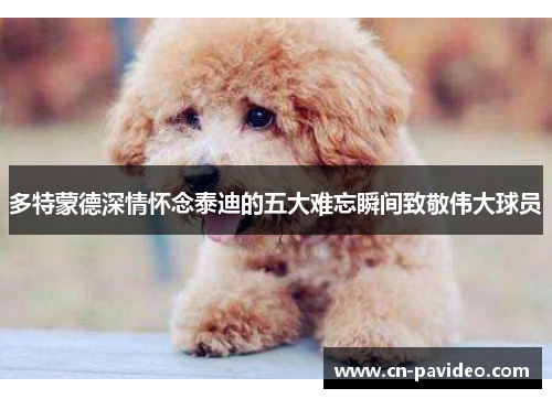 多特蒙德深情怀念泰迪的五大难忘瞬间致敬伟大球员
