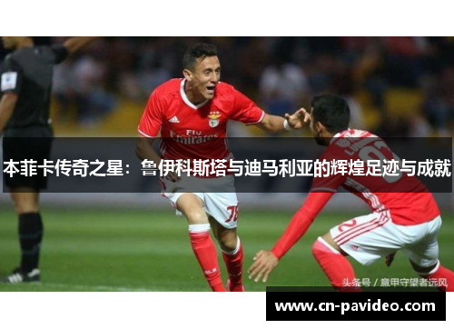 本菲卡传奇之星：鲁伊科斯塔与迪马利亚的辉煌足迹与成就