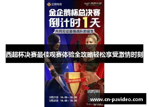 西超杯决赛最佳观赛体验全攻略轻松享受激情时刻