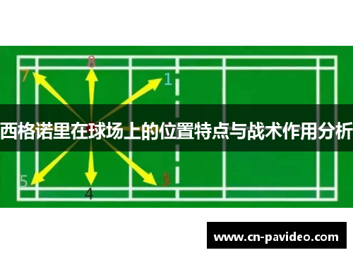 西格诺里在球场上的位置特点与战术作用分析