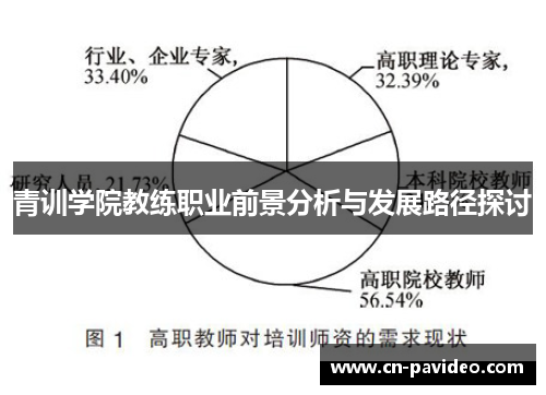 青训学院教练职业前景分析与发展路径探讨