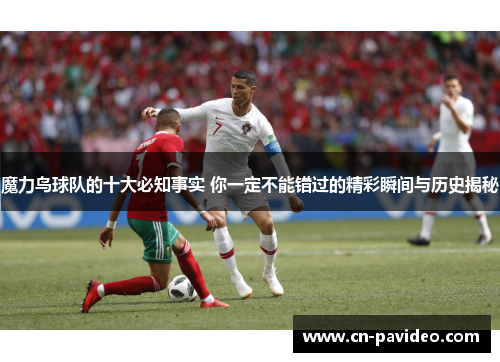 魔力鸟球队的十大必知事实 你一定不能错过的精彩瞬间与历史揭秘 魔力鸟球队的十大必知事实 你一定不能错过的精彩瞬间与历史揭秘