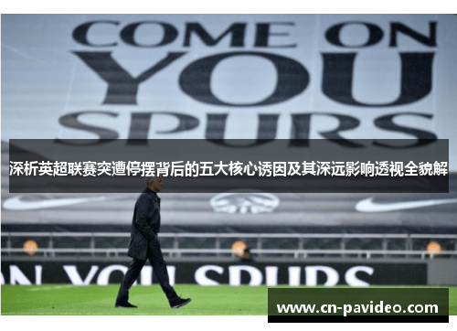 深析英超联赛突遭停摆背后的五大核心诱因及其深远影响透视全貌解
