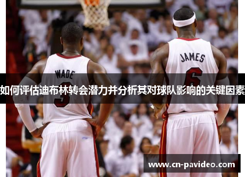 如何评估迪布林转会潜力并分析其对球队影响的关键因素