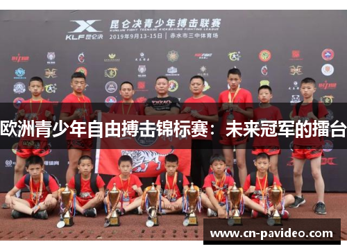 欧洲青少年自由搏击锦标赛：未来冠军的擂台