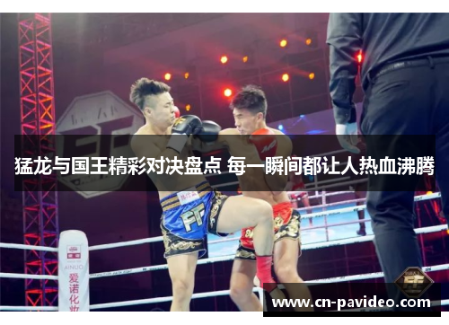 猛龙与国王精彩对决盘点 每一瞬间都让人热血沸腾